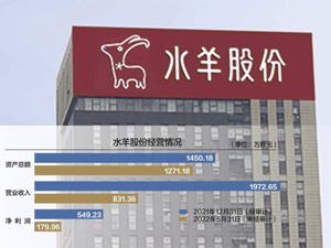 水羊股份时隔4年再启并购 溢价13倍买高端护肤品牌
