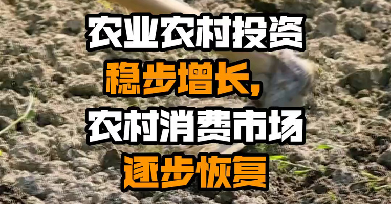 农业农村投资稳步增长，农村消费市场逐步恢复