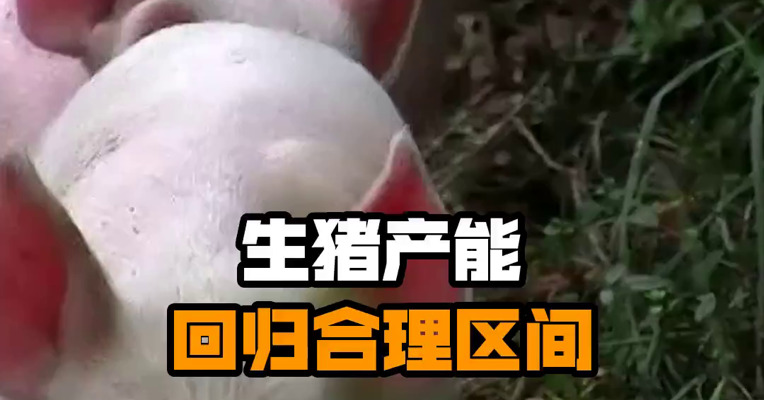 生猪产能回归合理区间