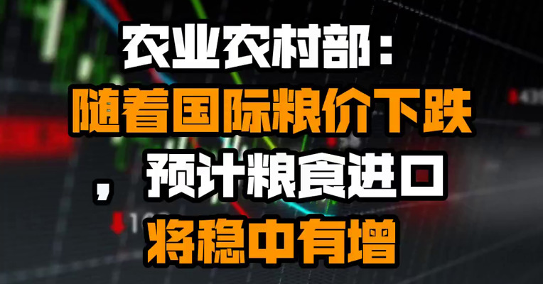 农业农村部：随着国际粮价下跌，预计粮食进口将稳中有增