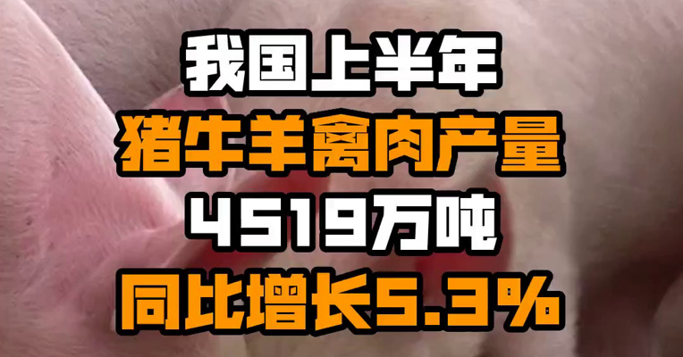 我国上半年猪牛羊禽肉产量4519万吨 同比增长5.3%