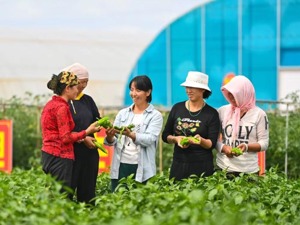总书记和人民心贴心丨如今的姚磨村挺直了腰杆