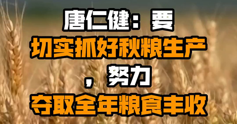 唐仁健：要切实抓好秋粮生产，努力夺取全年粮食丰收