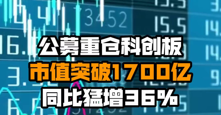 公募重仓科创板市值突破1700亿 同比猛增36%