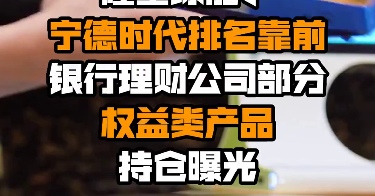 隆基绿能、宁德时代排名靠前！银行理财公司部分权益类产品持仓曝光