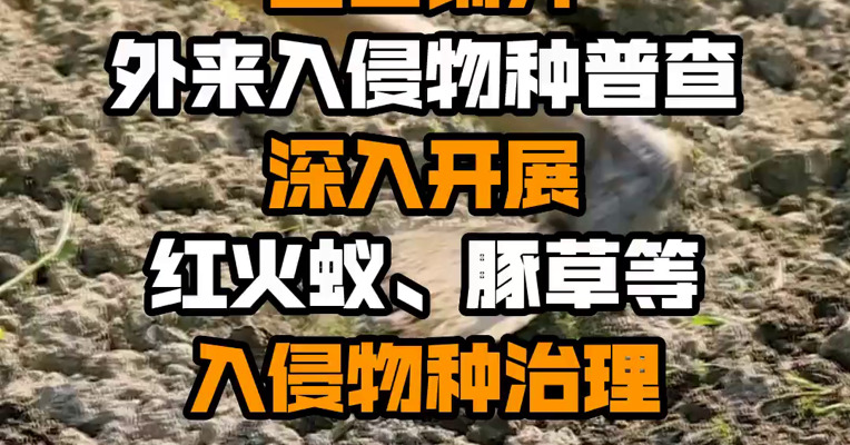 农业农村部：全面铺开外来入侵物种普查 深入开展红火蚁、豚草等入侵物种治理
