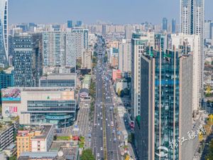 增强经济发展韧性 成都市锦江区出台“稳增长45条”