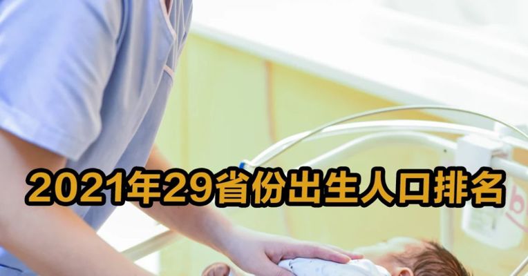 2021年29省份出生人口排名
