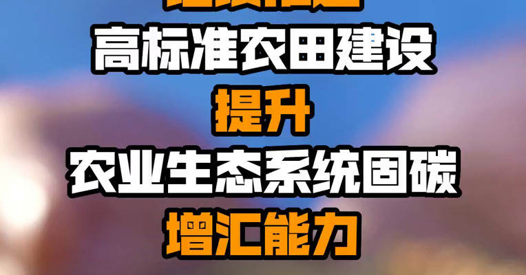 农业农村部：继续推进高标准农田建设 提升农业生态系统固碳增汇能力