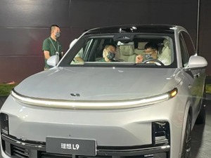 理想L9突发试驾事故，车主称主动刹车失效，官方紧急回应！
