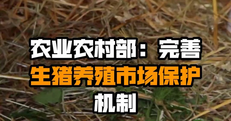 农业农村部：完善生猪养殖市场保护机制