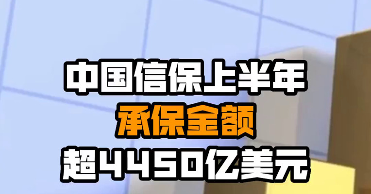 中国信保上半年承保金额超4450亿美元