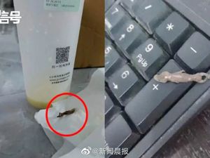 知名奶茶被曝喝出壁虎，消费者“弹射”离座！一年卖6亿多杯，还开到了意大利...品牌方最新回应