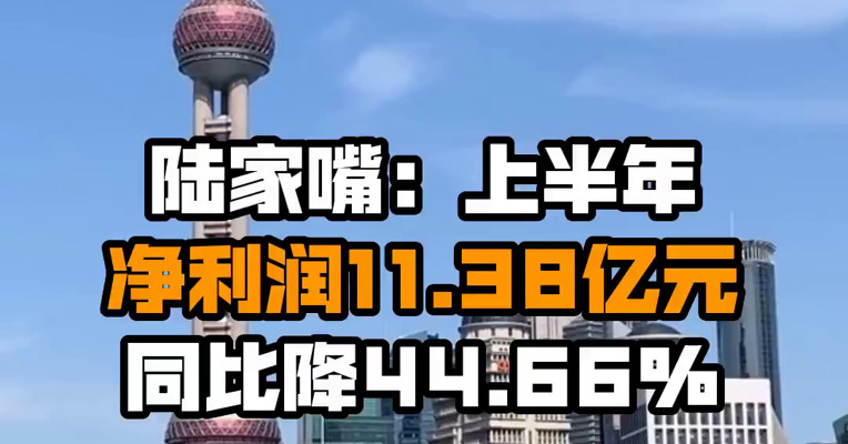 陆家嘴：上半年净利润11.38亿元 同比降44.66%