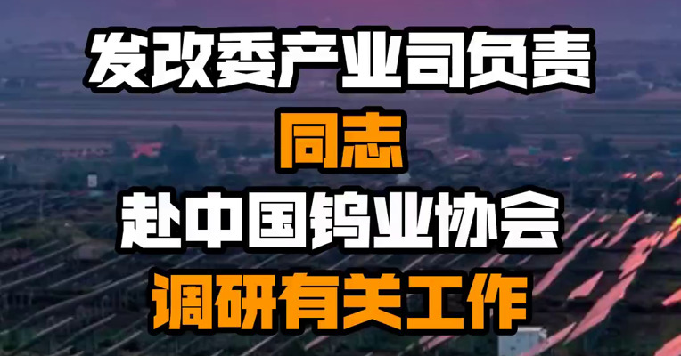 发改委产业司负责同志赴中国钨业协会调研有关工作
