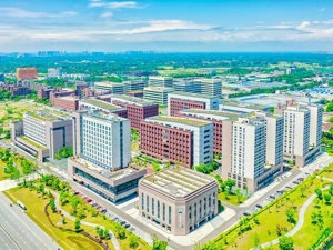 成都温江：以建圈强链赋能高端医疗器械产业高质量发展