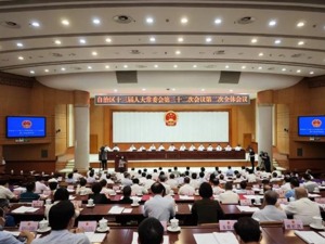 最新！苗庆旺、凌志峰任广西壮族自治区副主席