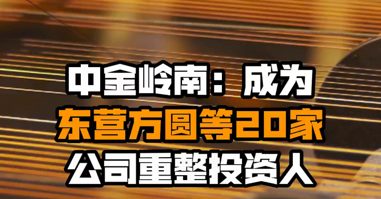 中金岭南：成为东营方圆等20家公司重整投资人