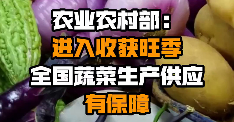 农业农村部：进入收获旺季 全国蔬菜生产供应有保障