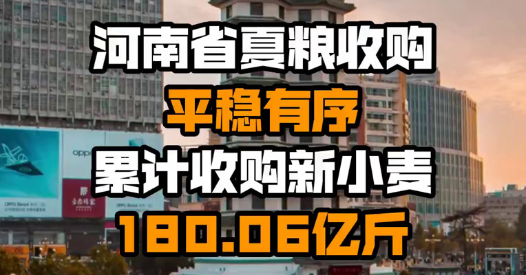 河南省夏粮收购平稳有序 累计收购新小麦180.06亿斤