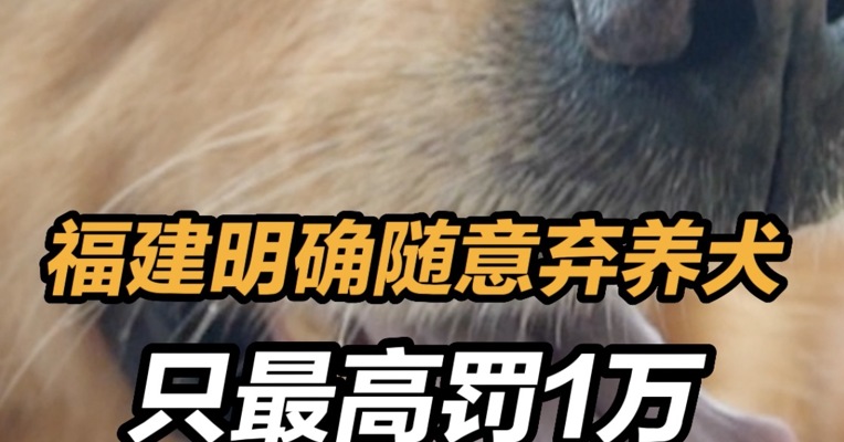 福建明确随意弃养犬只最高罚1万 ，福建拒不清除犬只粪便最高罚500