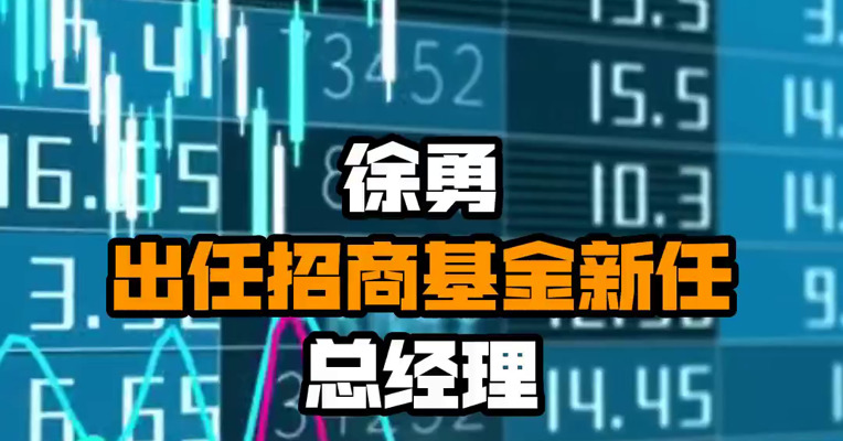 徐勇出任招商基金新任总经理