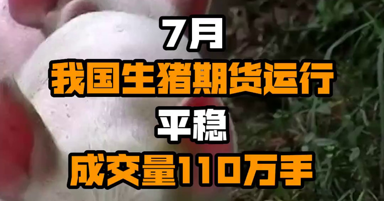 7月我国生猪期货运行平稳 成交量110万手