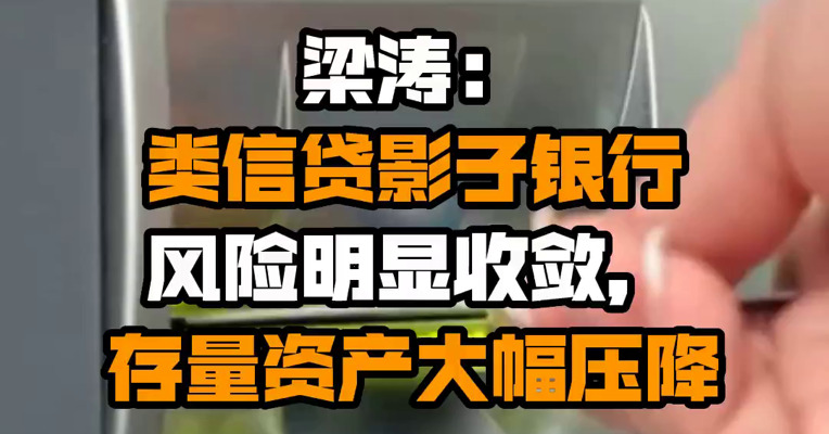 梁涛：类信贷影子银行风险明显收敛，存量资产大幅压降