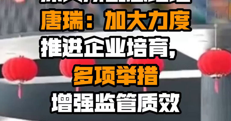 深交所副总经理唐瑞：加大力度推进企业培育，多项举措增强监管质效