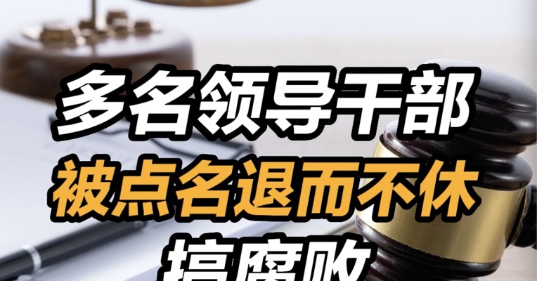 多名领导干部退而不休搞腐败，6名领导干部被点名退而不休
