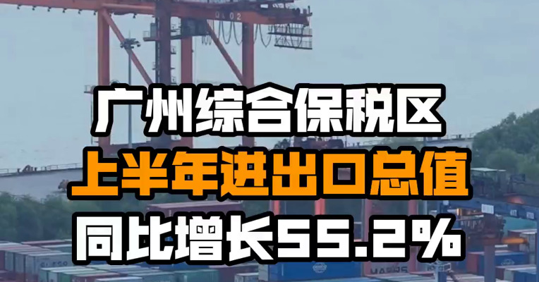 广州综合保税区上半年进出口总值同比增长55.2%