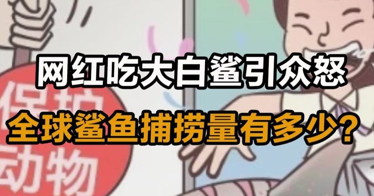 倡导拒吃鱼翅后 全球鲨鱼变多了？