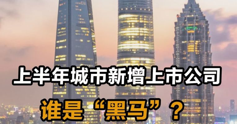 上半年新增上市公司 哪个城市是“黑马”？
