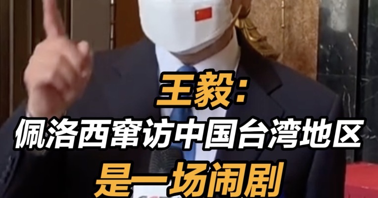 王毅说犯我中华者必将受到惩处 ，王毅表示佩洛西窜访台湾是一场闹
