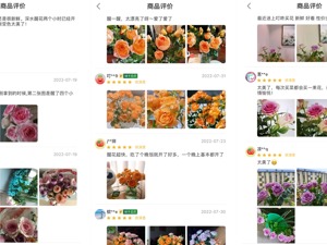 叮咚买菜“七夕”预计销售百万枝玫瑰，绝美小众玫瑰打开线上销路