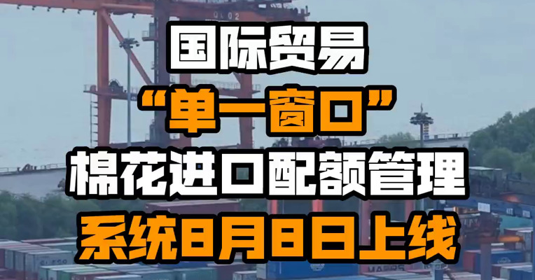 国际贸易“单一窗口”棉花进口配额管理系统8月8日上线
