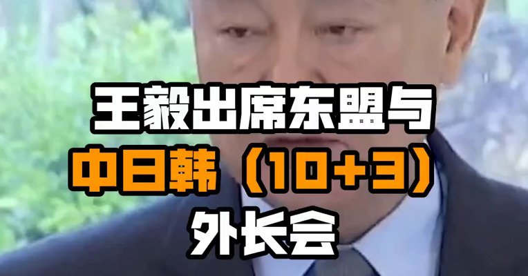 王毅出席东盟与中日韩（10+3）外长会