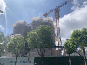 审核来不及、开盘被叫停，上海这个10万+网红盘让人看不懂