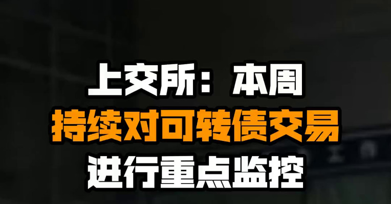 上交所：本周持续对可转债交易进行重点监控