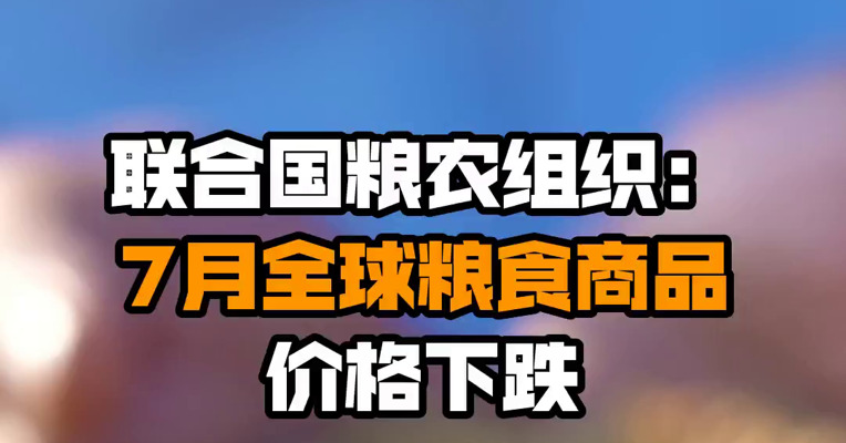 联合国粮农组织：7月全球粮食商品价格下跌