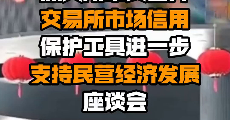 深交所牵头召开交易所市场信用保护工具进一步支持民营经济发展座谈会