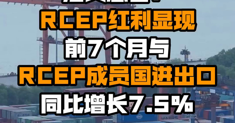 海关总署：RCEP红利显现 前7个月与RCEP成员国进出口同比增长7.5%