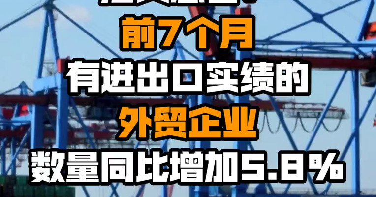 海关总署：前7个月有进出口实绩的外贸企业数量同比增加5.8%