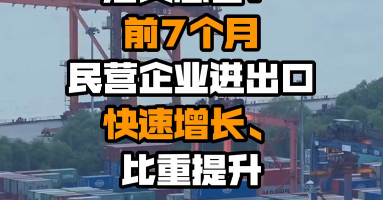 海关总署：前7个月民营企业进出口快速增长、比重提升