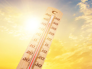 罕见高温预警！重庆本周连续7天最高温40℃或以上，南京、杭州连续5天