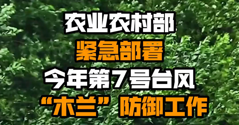 农业农村部紧急部署今年第7号台风“木兰”防御工作