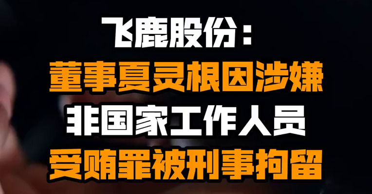 飞鹿股份：董事夏灵根因涉嫌非国家工作人员受贿罪被刑事拘留