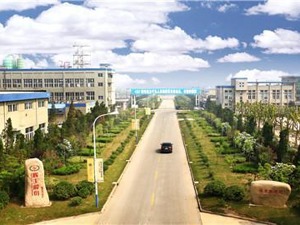 辉丰股份“5000吨草铵膦项目”权属纷争迎来一审判决：归瑞凯化工所有
