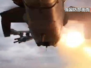 最新！俄国防部：俄军摧毁德国向乌提供的“猎豹”防空坦克！乌原子能公司：若俄如此做，乌军或将摧毁核电站输电线路