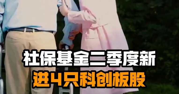 社保基金二季度新进4只科创板股